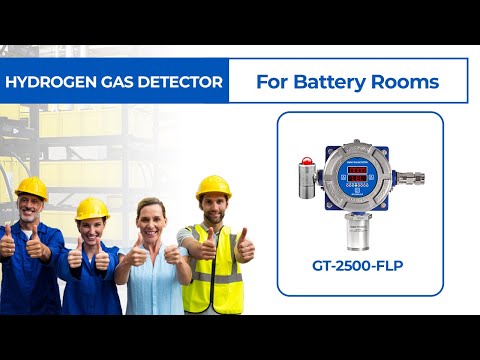 Gas Leak Detector