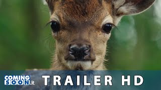 Download lagu BAMBI (2025) Trailer del Documentario di Michel Fessler. mp3