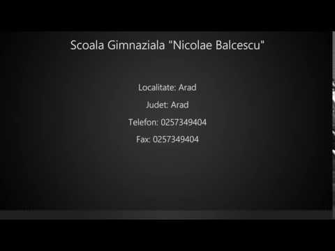 Scoala Gimnaziala "Nicolae Balcescu" Arad