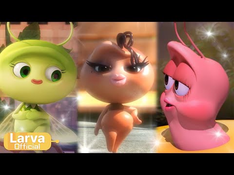I'm a Queencard 👑 Larva Girls | Animation Compilation | Larva TUBA | Official