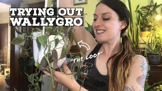 Trying out Wallygro’s Loop Planter! | Plant Gadget Review