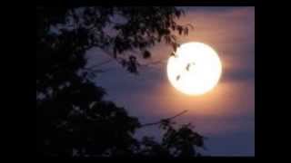 HARVEST MOON, CASSANDRA WILSON