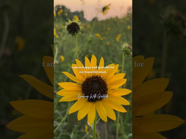 Vídeo relacionado con I am Thankful: A Gratitude Journal for Daily Gratitude and Reflection, Self-Discovery, and Mindful Living