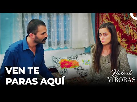 Gran Favor De Feyyaz A Elvan - Nido De Víboras