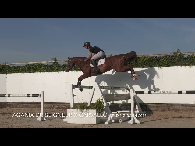 Fayence