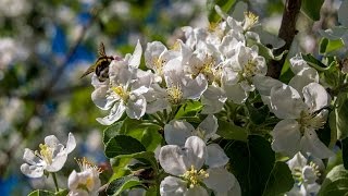 Валерия - Разрушить любовь