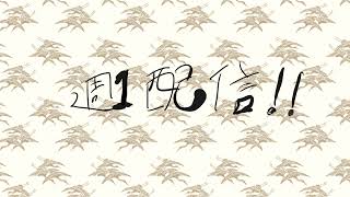 ゴリラチャンネル のライブ配信