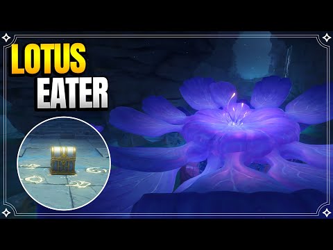 Lotus Eater + Secret Room | World Quests and Puzzles |【Genshin Impact】