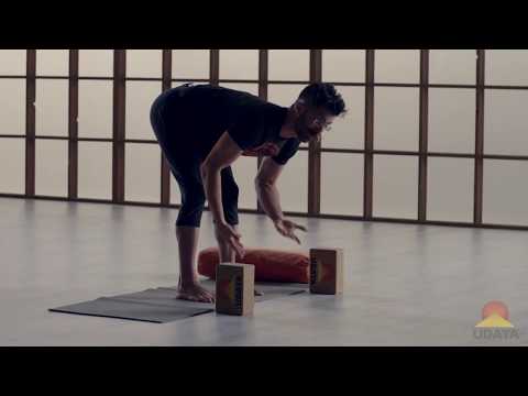 DAY 3 - STANDING FOLDS | AVERAGE JOGA Beginner's Yoga Program | Full YouTube Series