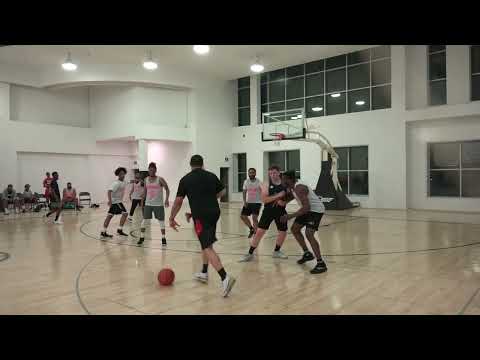 Regein Elite vs La Dynasty - sunday tier - tcbl 2022 summer