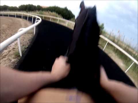 Dubai World Cup 2014