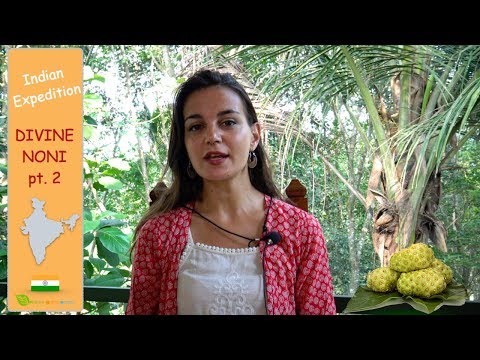 Noni vs Cancer : the Science