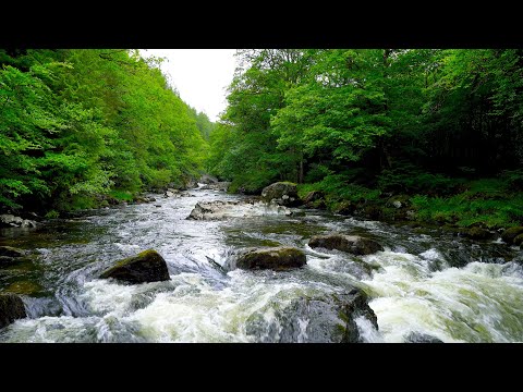 4K Minor Bridge River Waterfall Sounds | Calming Water White Noise. Flowing Stream Sounds for Sleep.
