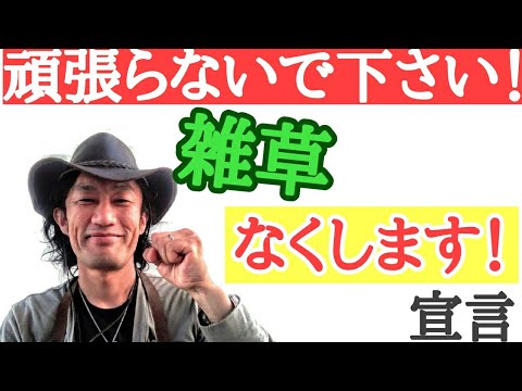 プールの水のメンテナンスを容易にするためのすべてのアドバイス  庭園