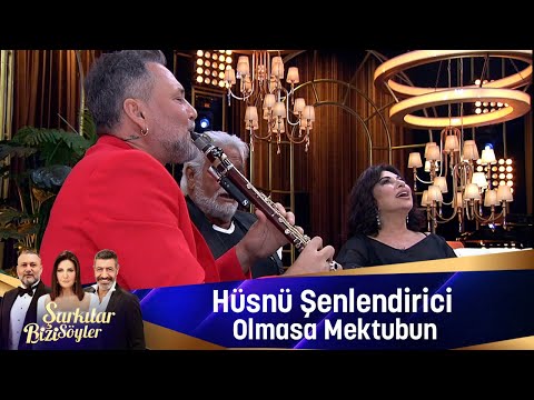 Hüsnü Şenlendirici - OLMASA MEKTUBUN