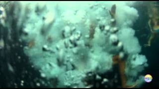 Ibiza Sea Party 28 6 2012   fiestas en barco en ibiza   ibiza boat party