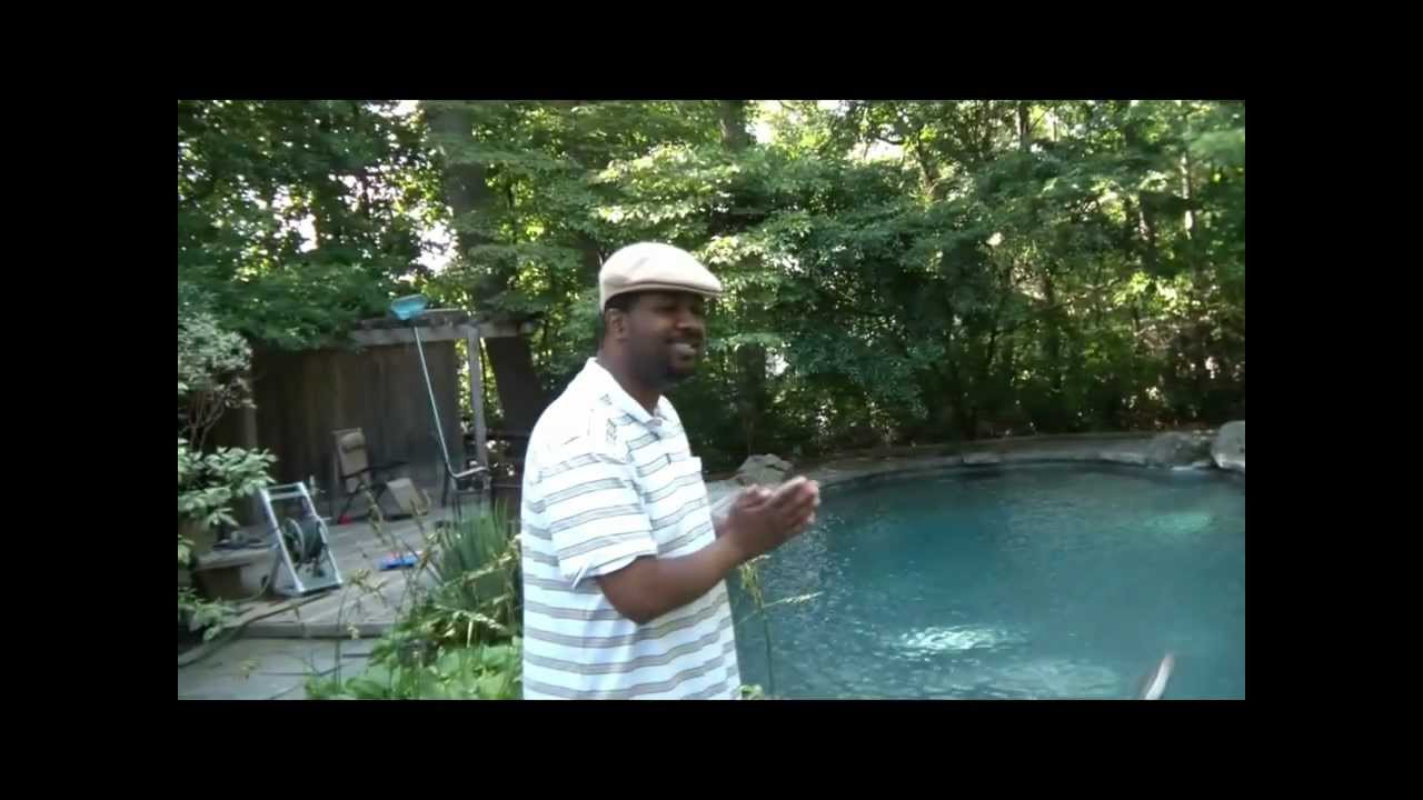 Promotional video thumbnail 5 for Austin Bee Music