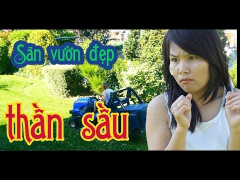 Vlog  #4 : Fr Sân vườn đẹp / SÂN NHÀ ĐẸP THẦN SẦU/ khu vườn trong mơ / mỹ hường cuộc sống Pháp