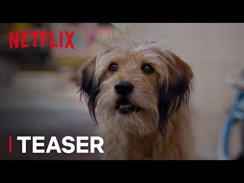Benji (2018) Teaser Trailer