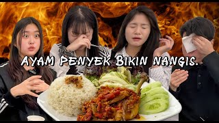 Download lagu Koreans Try Ayam Penyet, Can They Handle It?! mp3