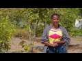 50 Lead Farmers From Chisi Island Trained In Permaculture