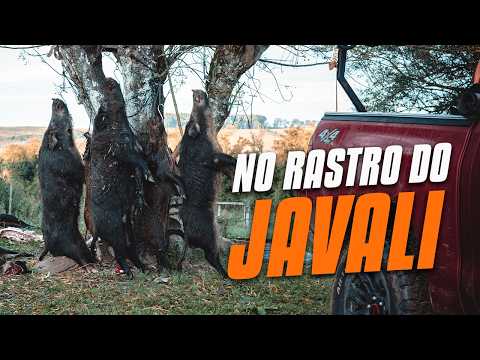 CAÇADA DE JAVALI EM DOM PEDRITO/RS | Amizade, Estratégia e Adrenalina na Mata