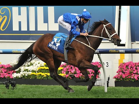 Winx - All Races from 2015