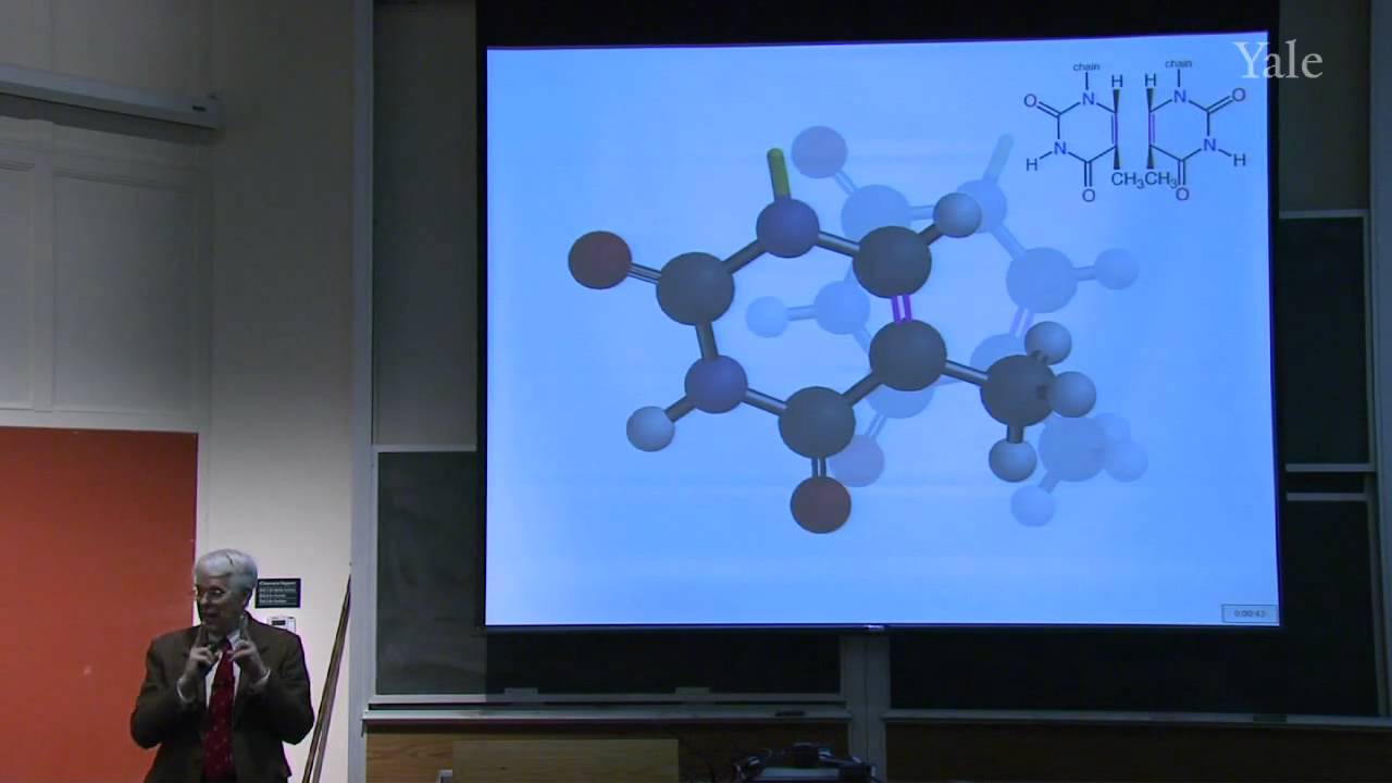 Aromatic Transition States: Cycloaddition and Electrocyclic Reactions