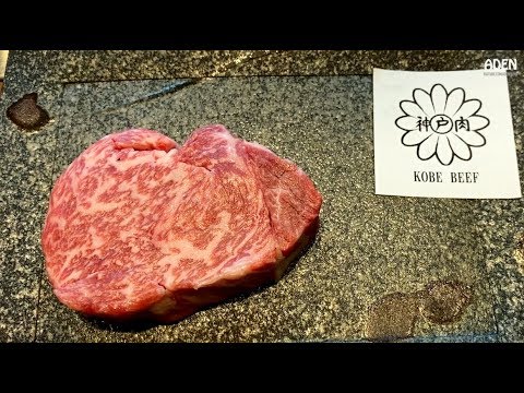 $201 Kobe Beef "well done" in Tokyo - Japan