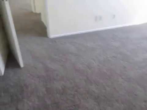 PL6503 - Spacious 2 Bed + 2 Bath Apartment for Rent! (Sherman Oaks, CA)