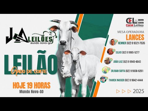 www.Canalleiloes.com | LEILÃO ESPECIAL FIM DE ANO J.A LEILÕES | MUNDO NOVO - GO 17/12/2025