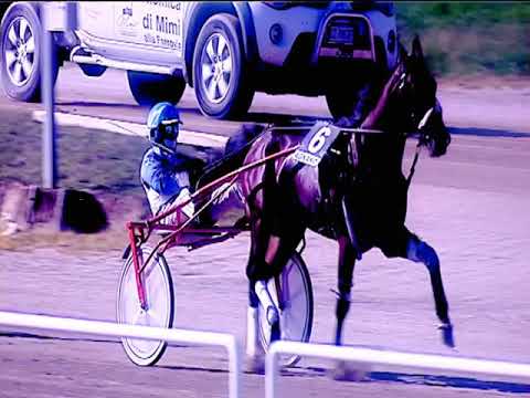 Trotto 15/03/2019 - 1ª corsa