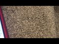 My Videos Blocked By ViacomCBS