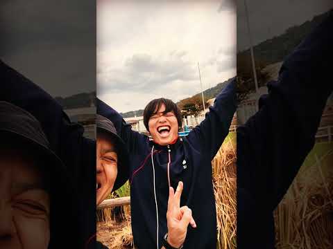【おかがく】田植え！稲刈り！おかがく米！【PBL】 #Shorts