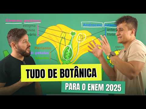 TUDO de BOTÂNICA para o ENEM 2026 (melhor didática do Brasil)