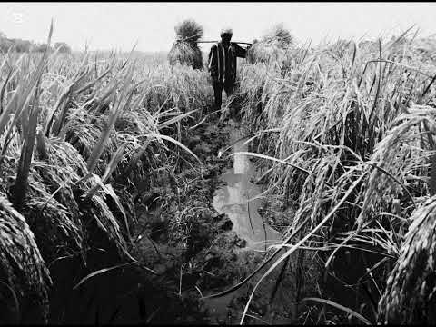 حلوة الصورة | الاسطورة احمد فكرون helwa issora | Ahmed Fakroun Cover