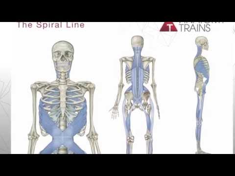 Tom Myers Introduces Anatomy Trains 3rd Edition