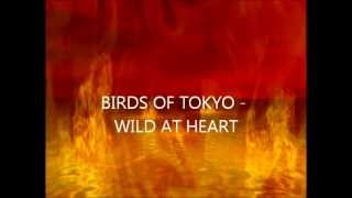The Birds Of Tokyo - Wild At Heart