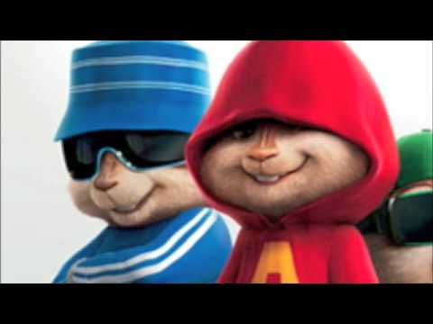 1st YouTube video about are there chipmunks in florida