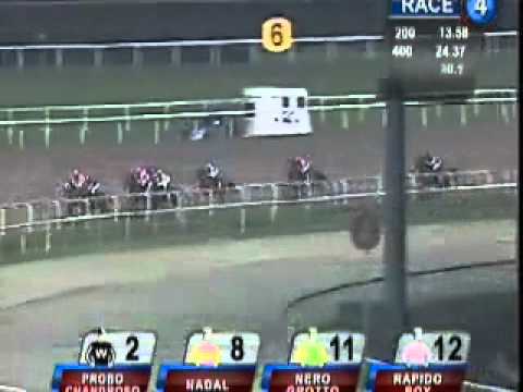 20101008 SG CLASS 4 1000M (POLYTRACK) - NADAL (YF Leong)