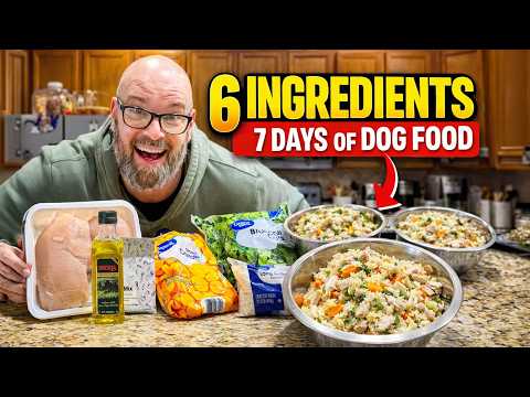 This Homemade Dog Food Feeds My Dog for 7 Days 🐾🦴🍲