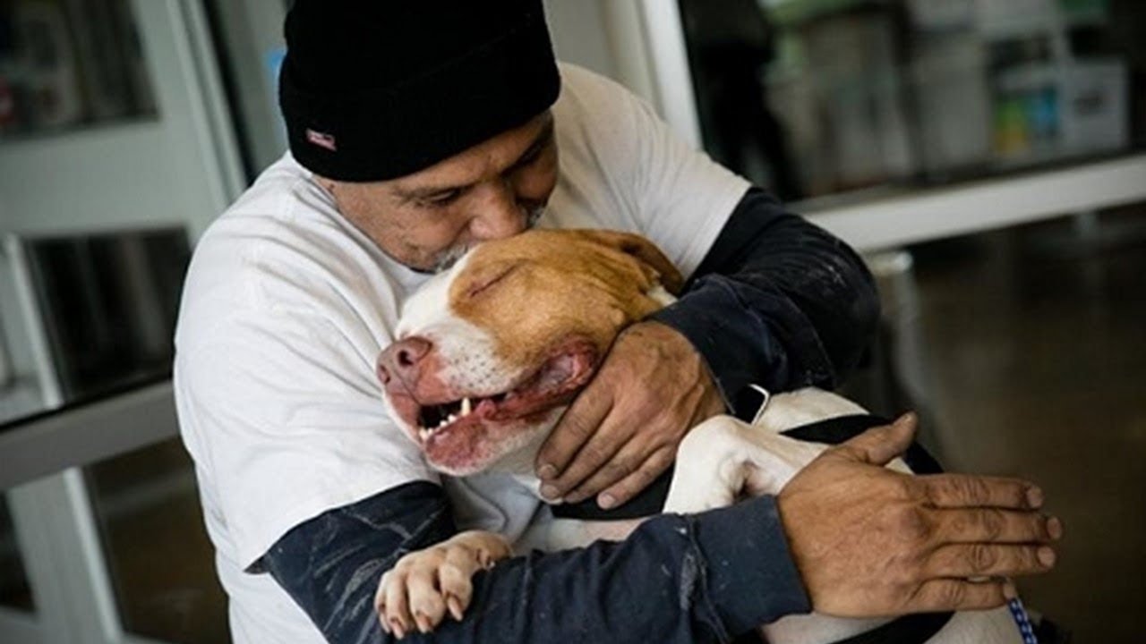 「必ず迎えに来る…」その言葉を信じて飼い主を待っていた犬。やがて感動的な再会を果たす…