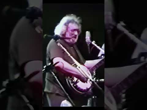Jerry Garcia & David Grisman - Sweet Sunny South  #bluegrass #banjo #live