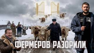 Зачем режут скот под Новосибирском? | Прекрасная Россия