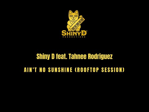 Shiny D feat. Tahnee Rodriguez - Ain't No Sunshine (Rooftop Session)