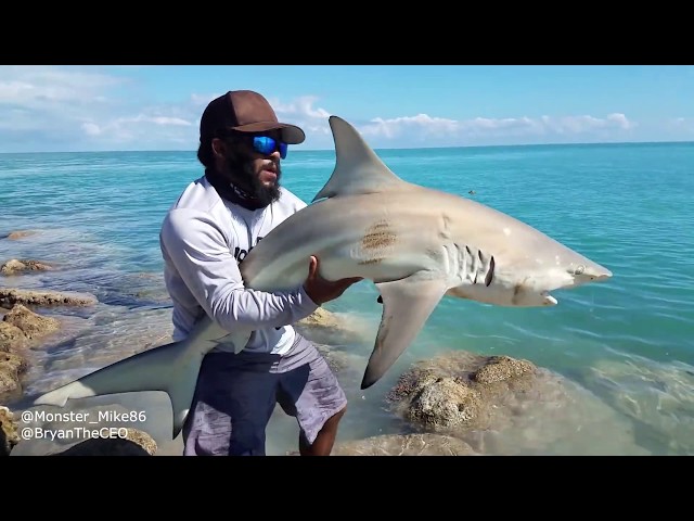 What Type of SHARK Did We Catch? Monster Mike Fishing