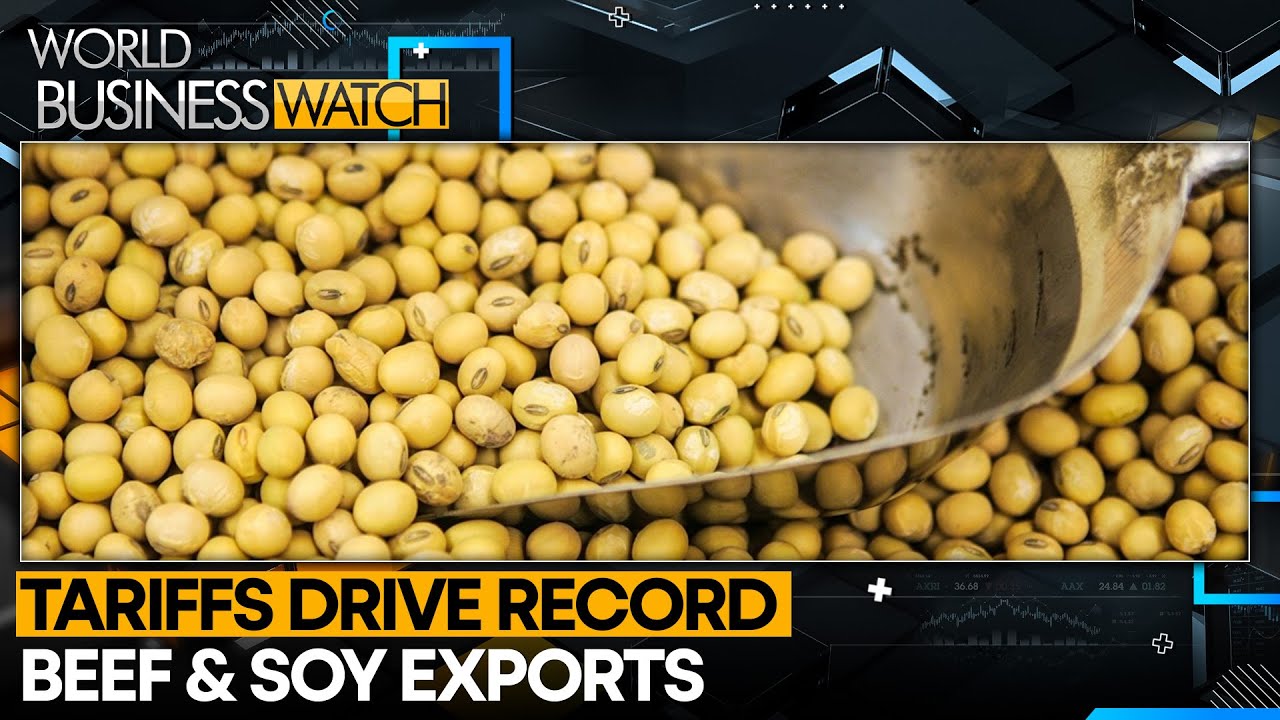 Tariff Shifts Redraw Global Agri Trade Flows | World Business Watch 2025