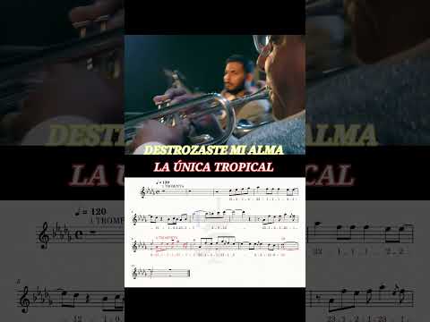Destrozaste mi alma - La Única tropical solo de trompeta #trompeta #musica