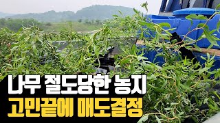 나무 절도당한 농지 고민끝에 매도 결정 | 나무대장