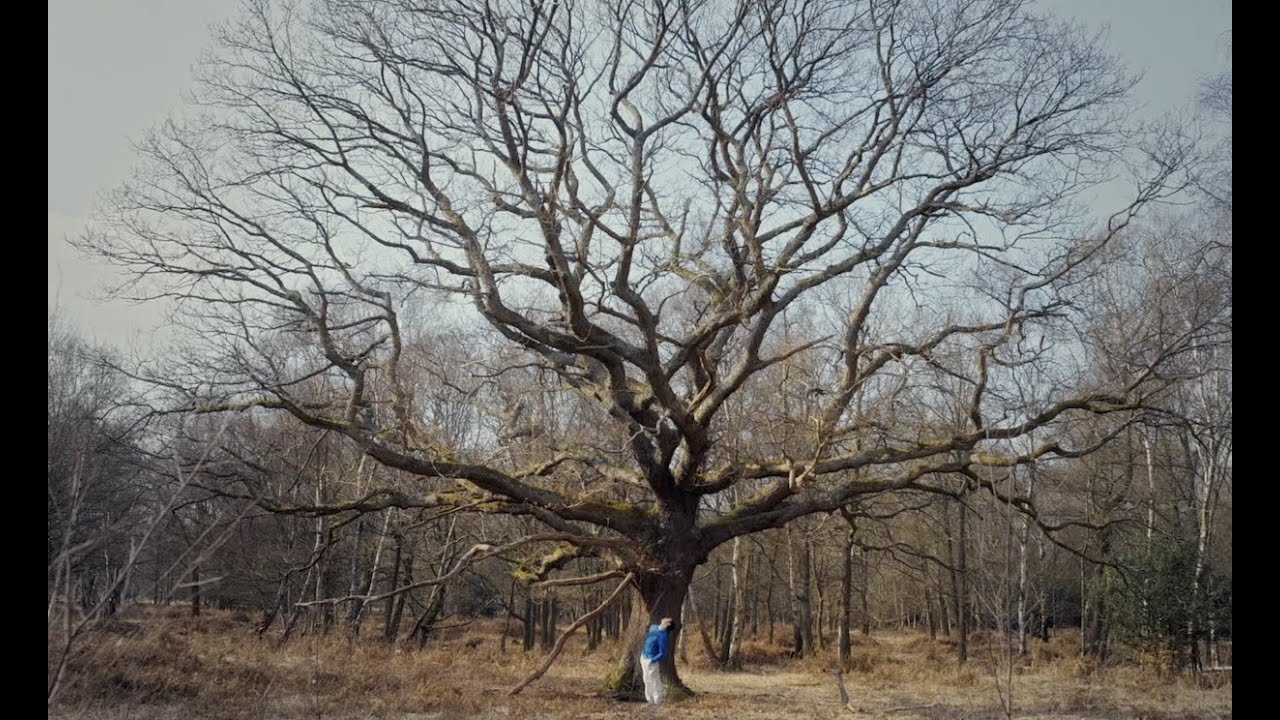 Andy Stott - 'Hard To Tell'